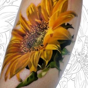 Meet your Posher, Judi